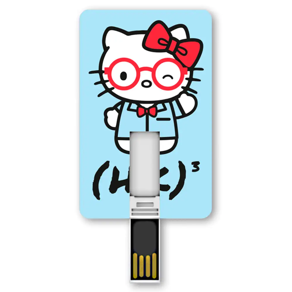 IconicCard 8GB - Kitty Mathematics