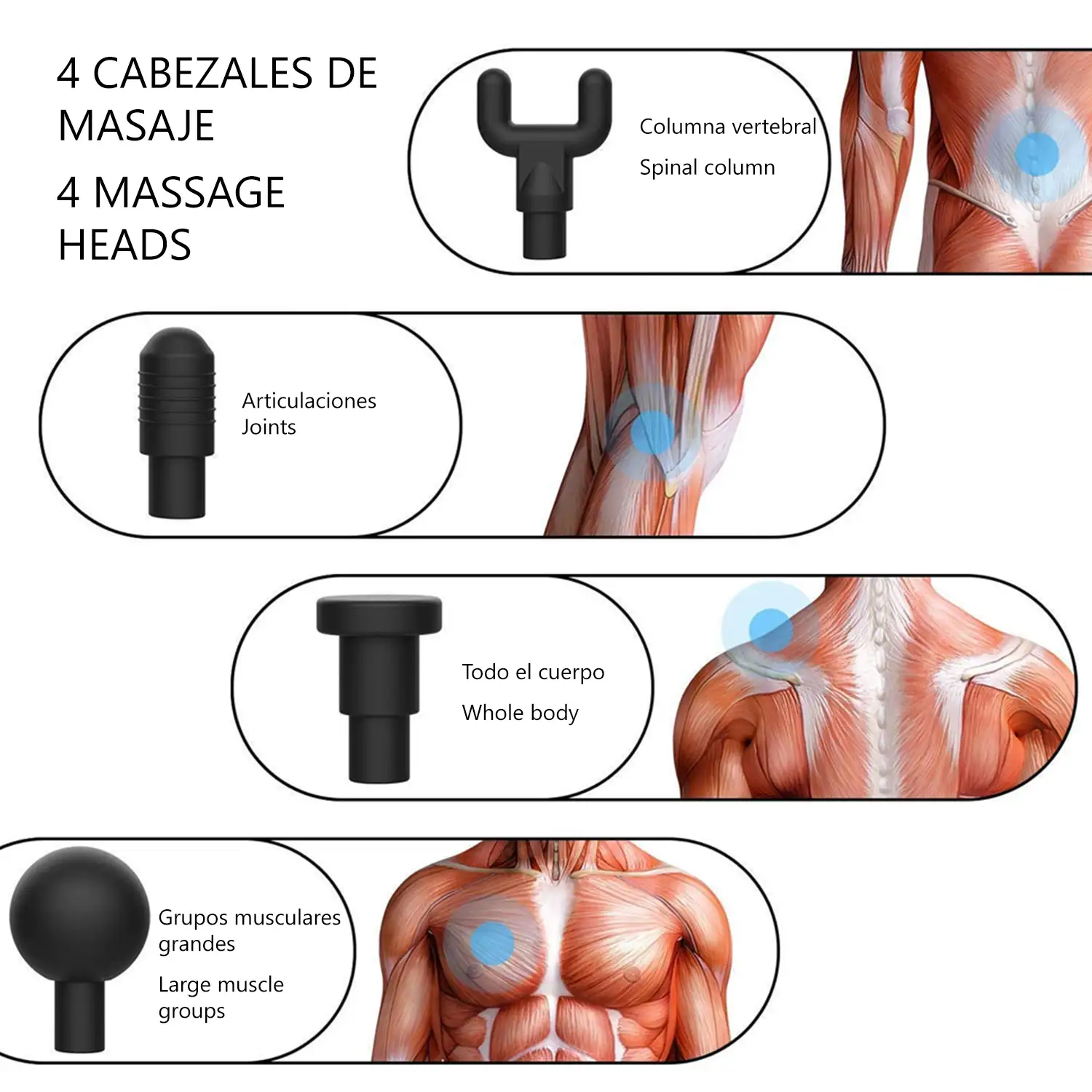 Pistola de masaje muscular Fascia Gun TY602. 6 niveles con velocidad hasta 3200 rpm. 4 cabezales.