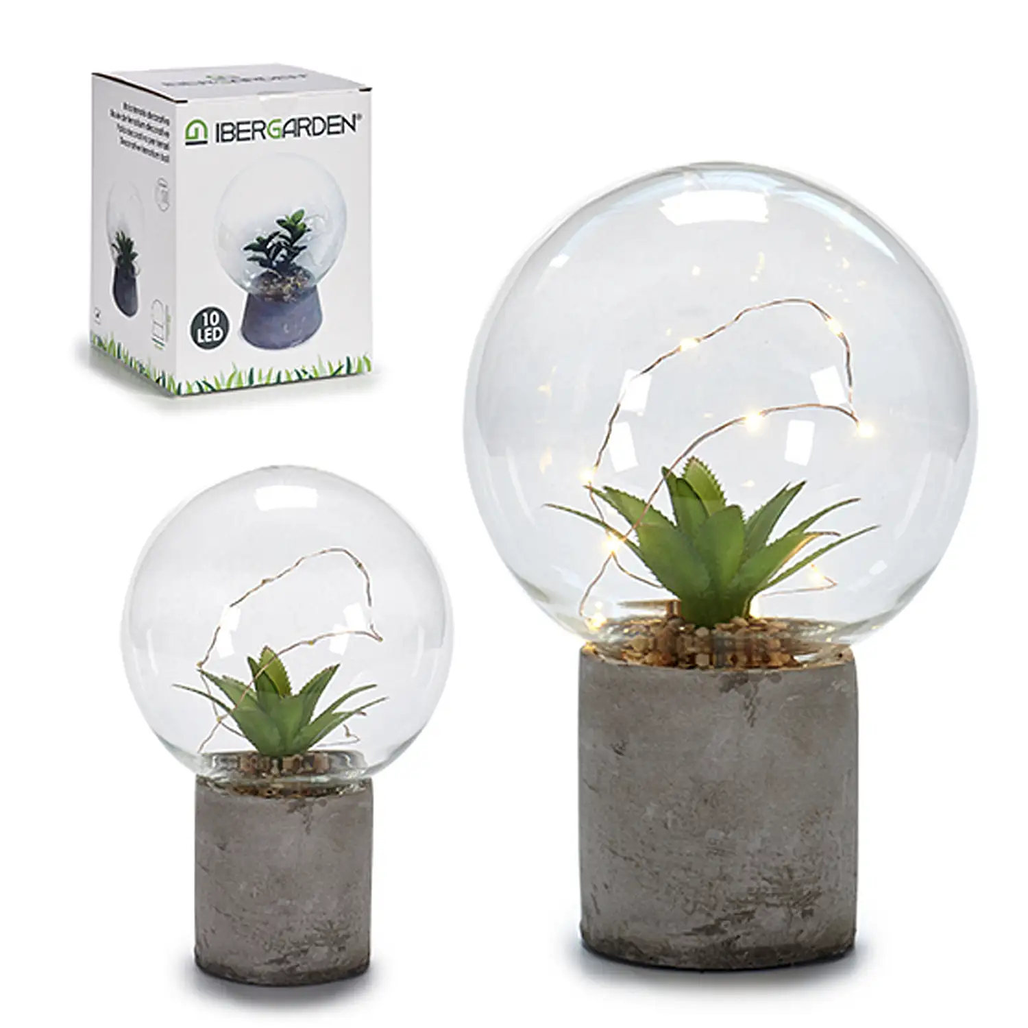 Bola de cristal con planta e iluminación led, base de granito. 2 diseños aleatorios.