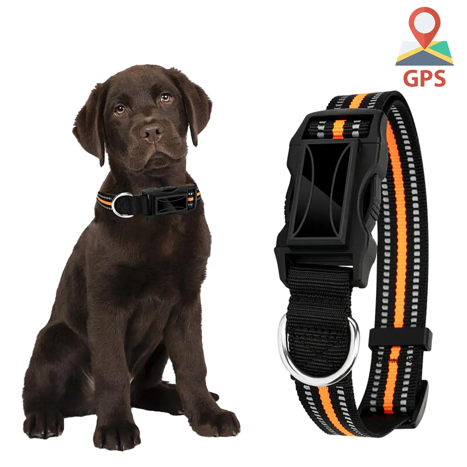 Localizador GPS especial para perros y mascotas. BDS+LBS+AGPS. Collar de 40 a 64cm de diámetro, reflectante.