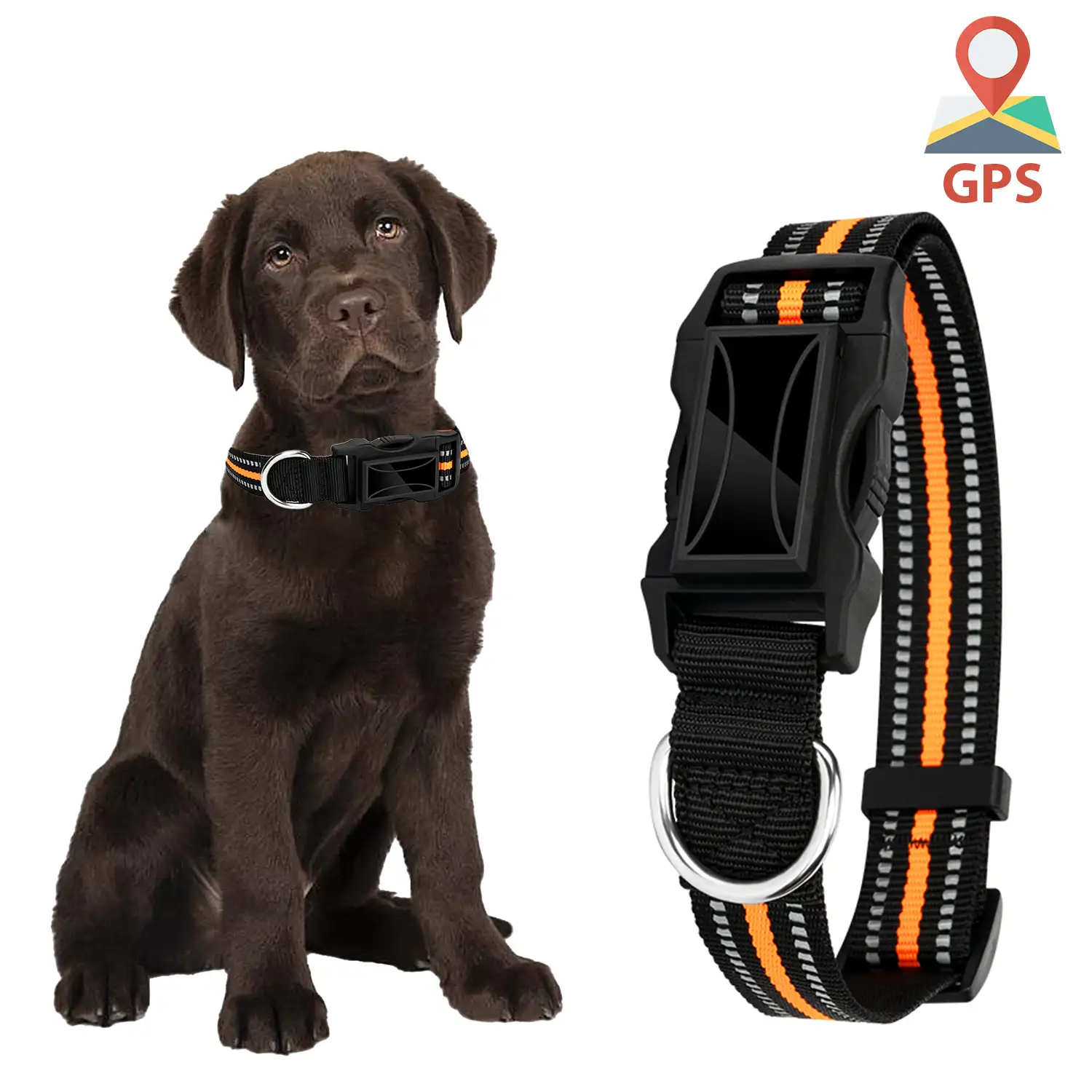 Collar gps para perros en timbre - mini localizador gps para perros/gatos/animales  con seguimiento Wifi y LBS - IP67