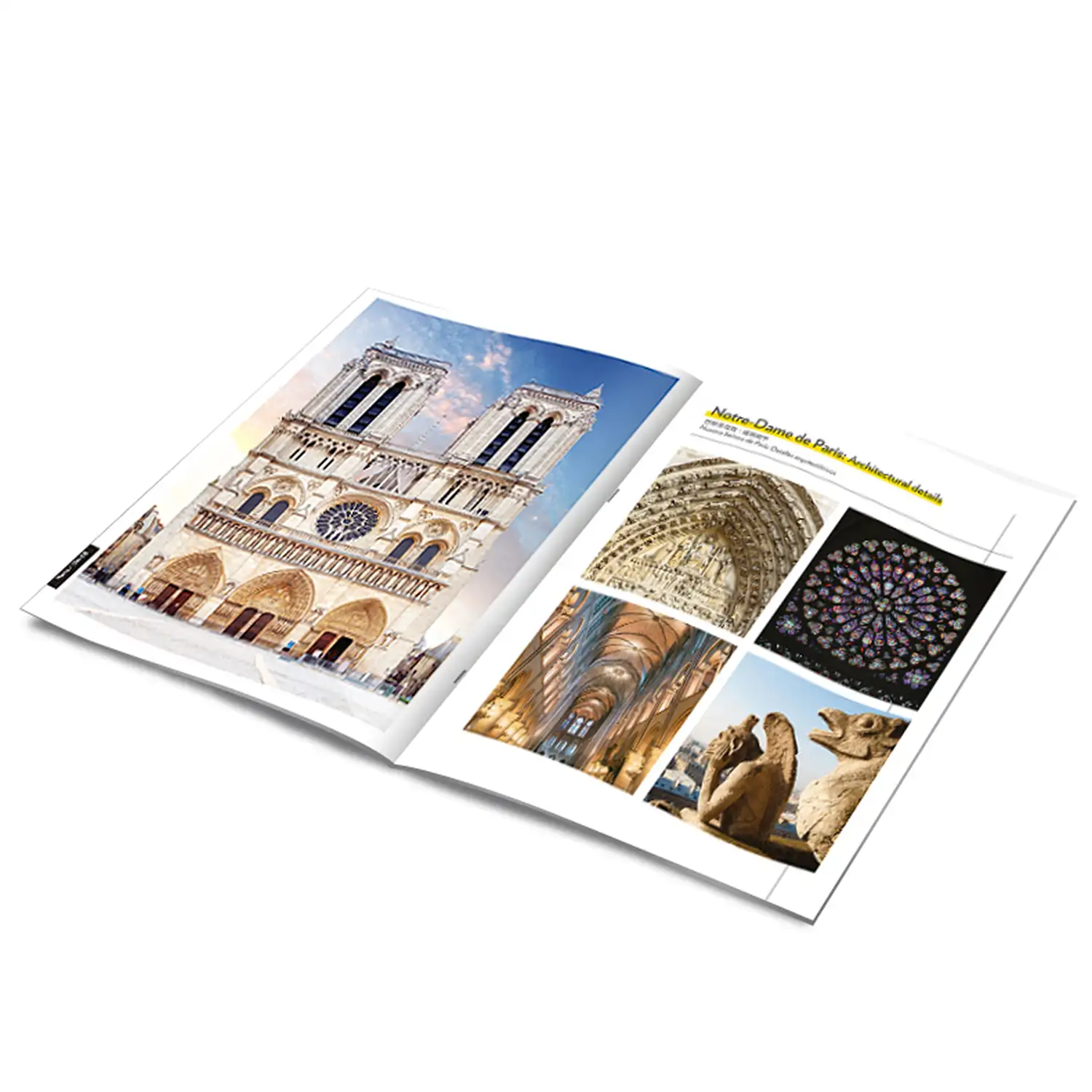 Puzle 3D Notre Dame de París 59x17x19 cm.