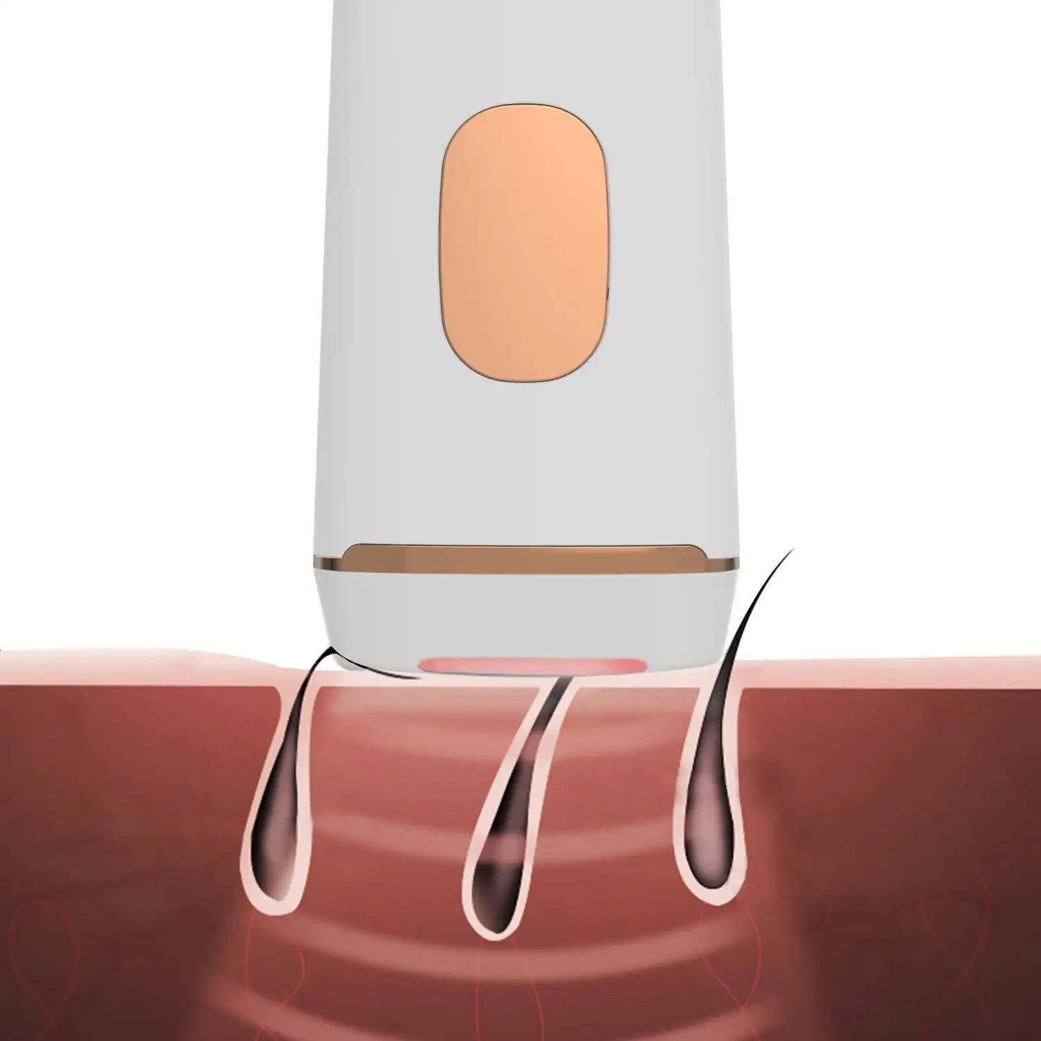 Depiladora de luz pulsada T22