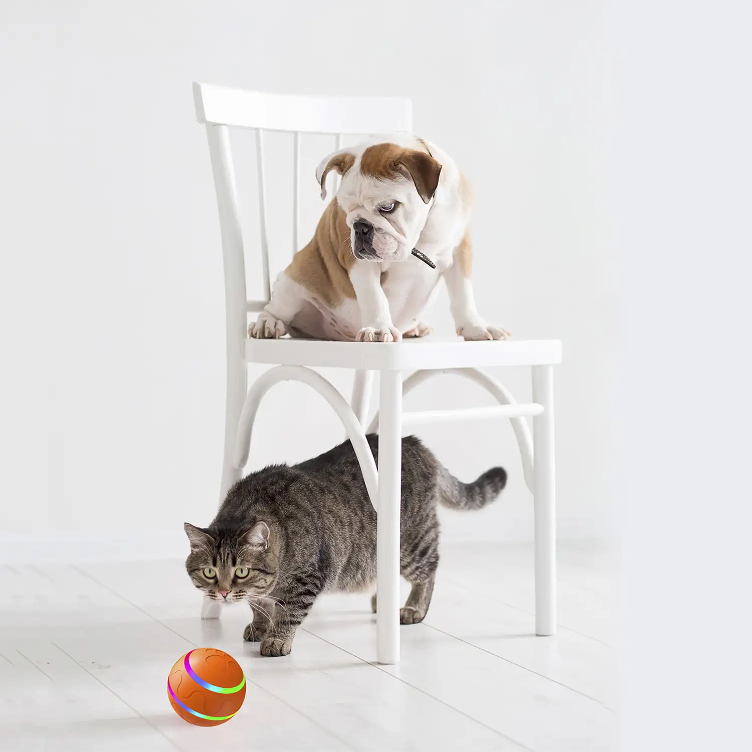 Bola rebotadora. Juguete interactivo inteligente para perros y mascotas. Luz activada por movimiento.