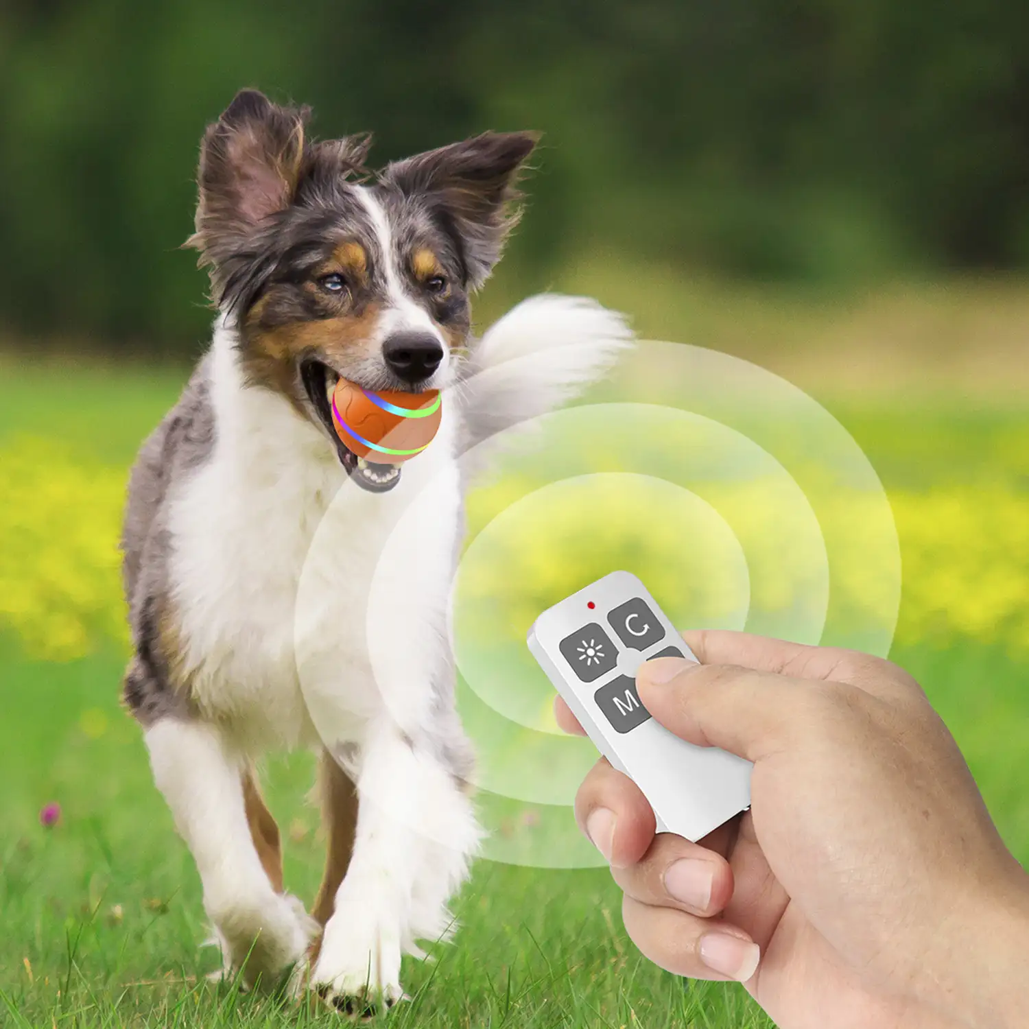 Bola rebotadora. Juguete interactivo inteligente para perros y mascotas. Luz activada por movimiento.