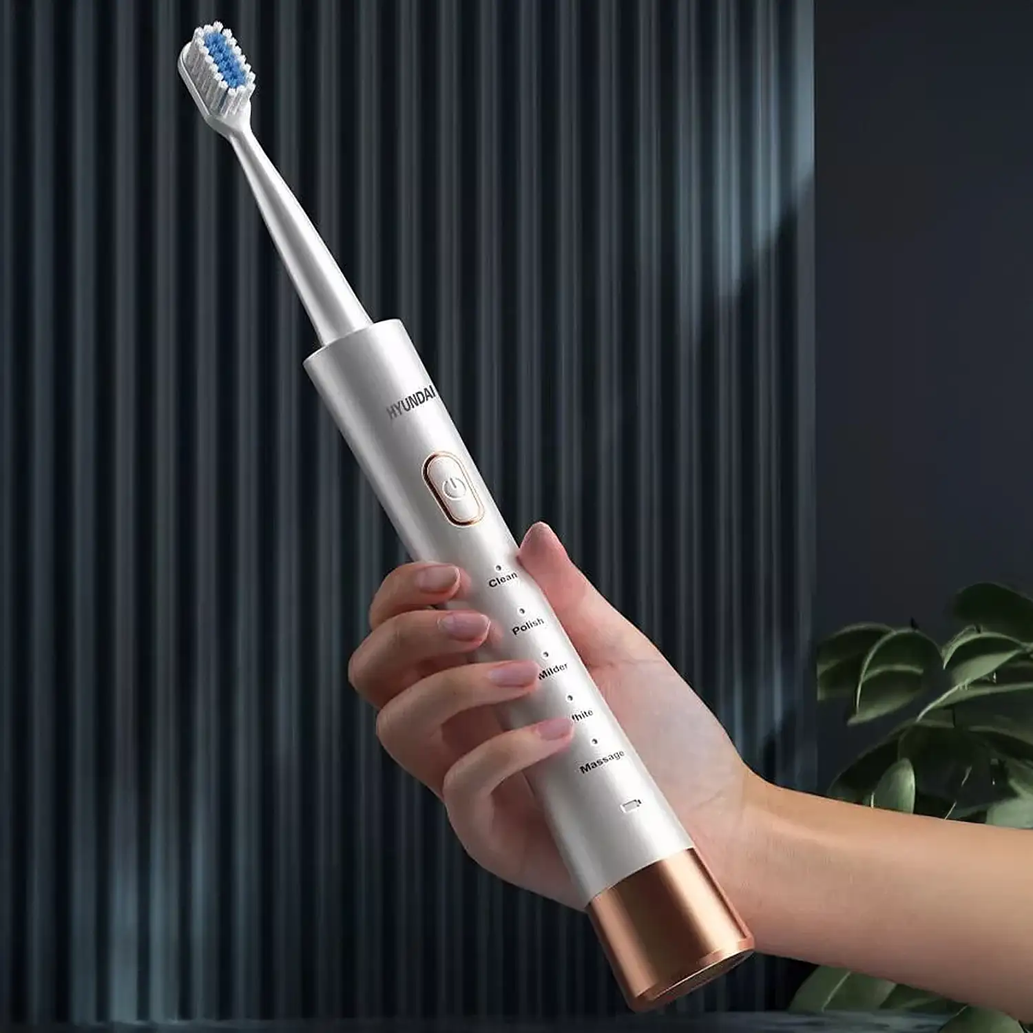 Cepillo de dientes eléctrico sónico 31.000rpm. 6 modos. Cuerpo impermeable IPX8.