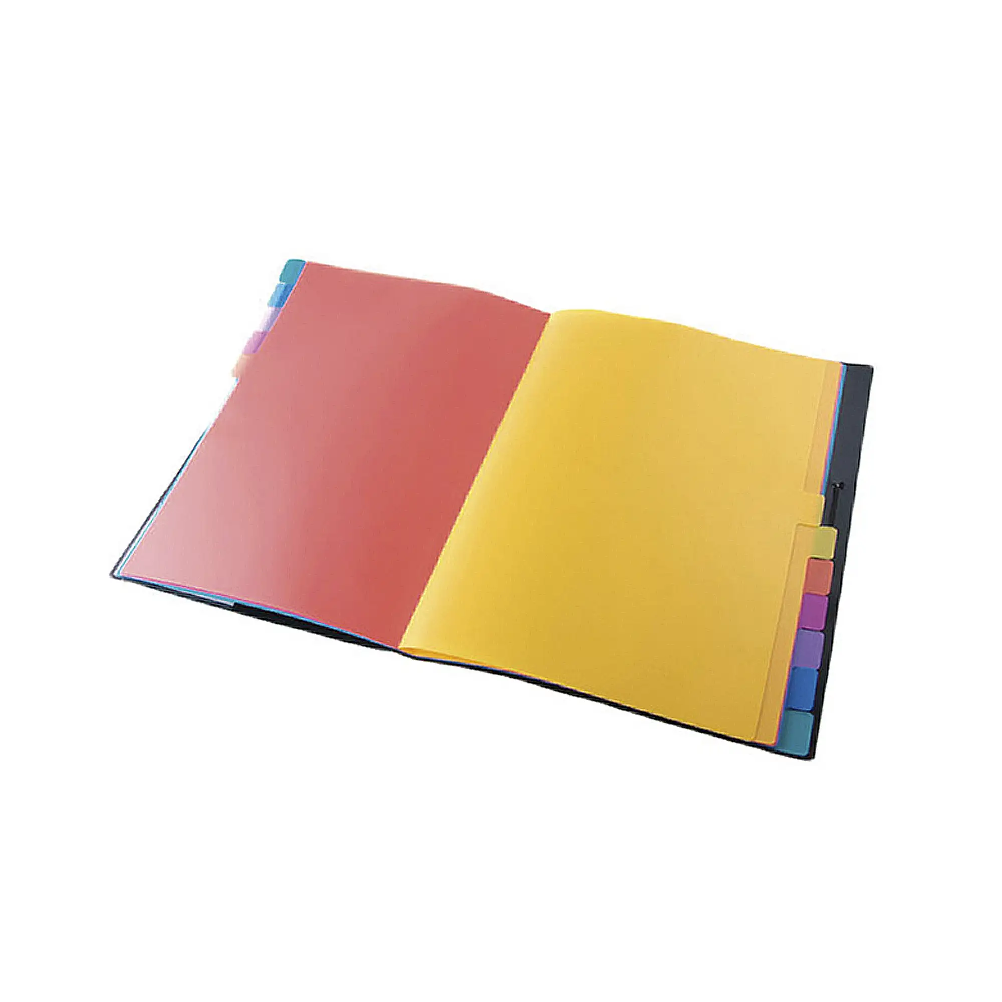 CARPETA CLASIFICADORA CON GOMAS A4