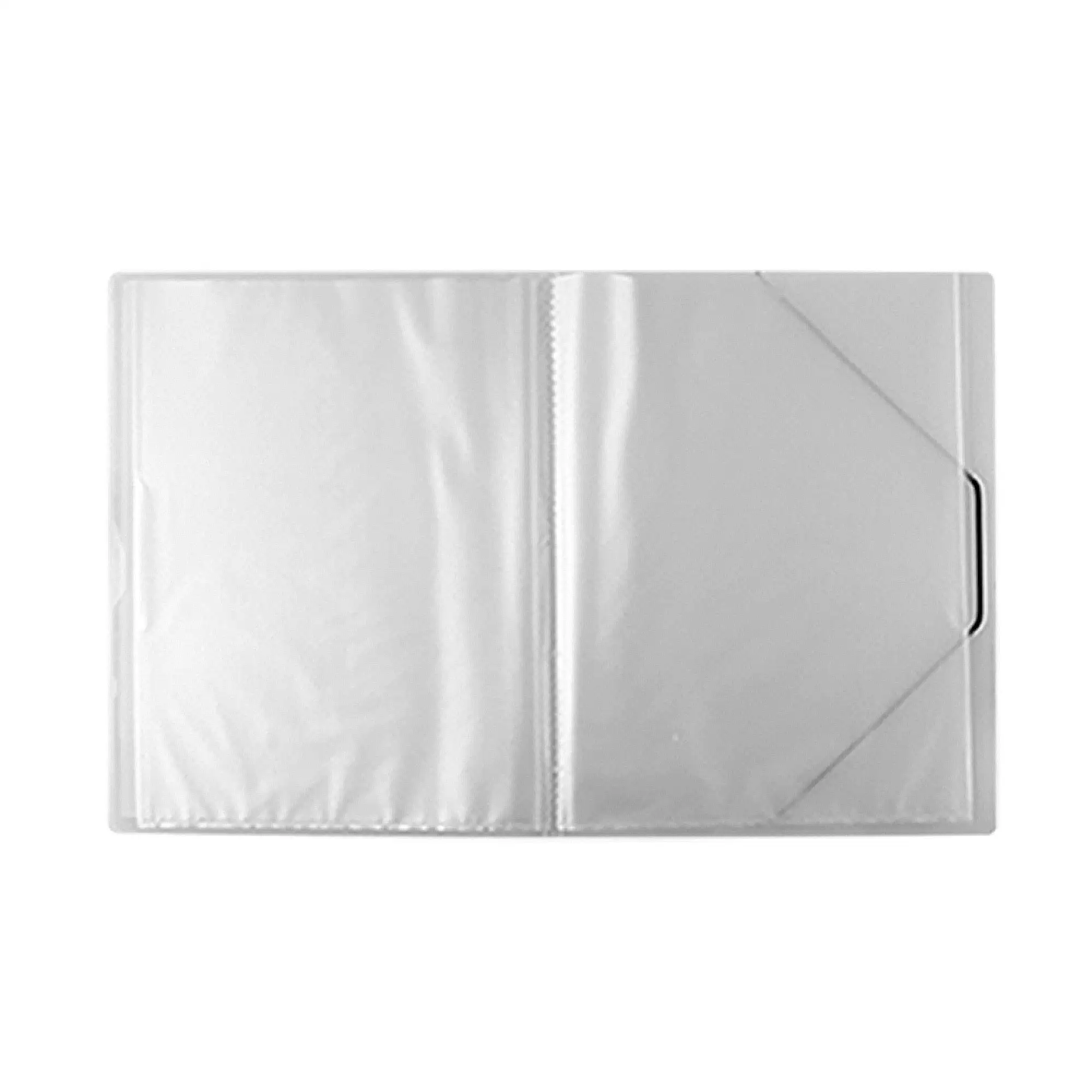 CARPETA 60 FUNDAS A4 CON GOMA TRANSPARENTE