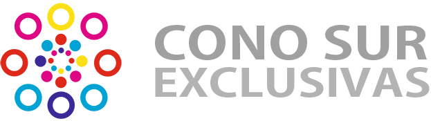 Logo de Cono Sur Exclusivas